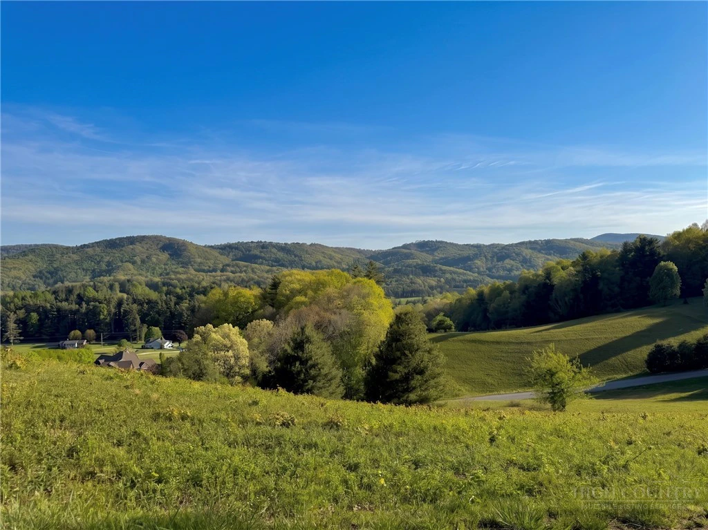Image number 8 for the current listing