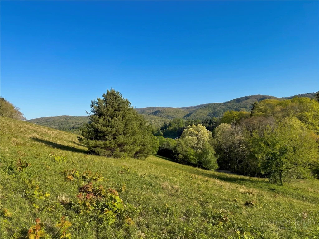 Image number 9 for the current listing
