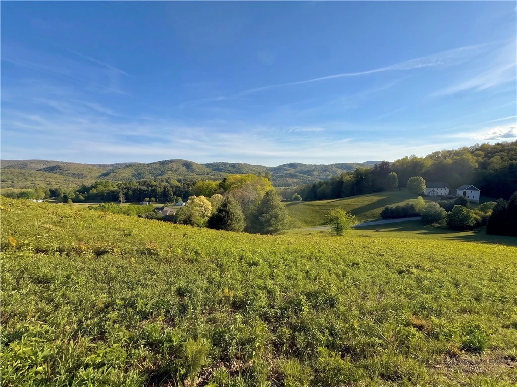 Image number 10 for the current listing