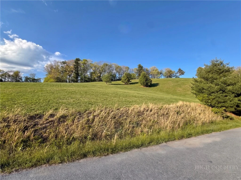 Image number 11 for the current listing