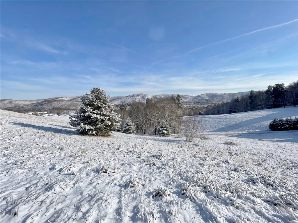 Image number 13 for the current listing