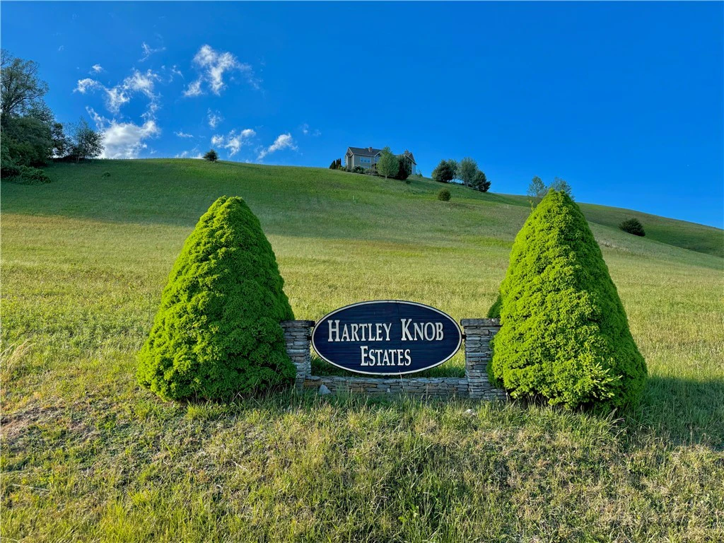 Image number 14 for the current listing