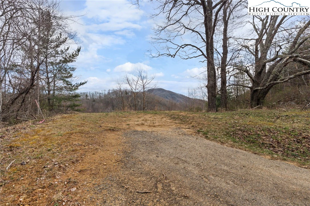 Image number 3 for the current listing