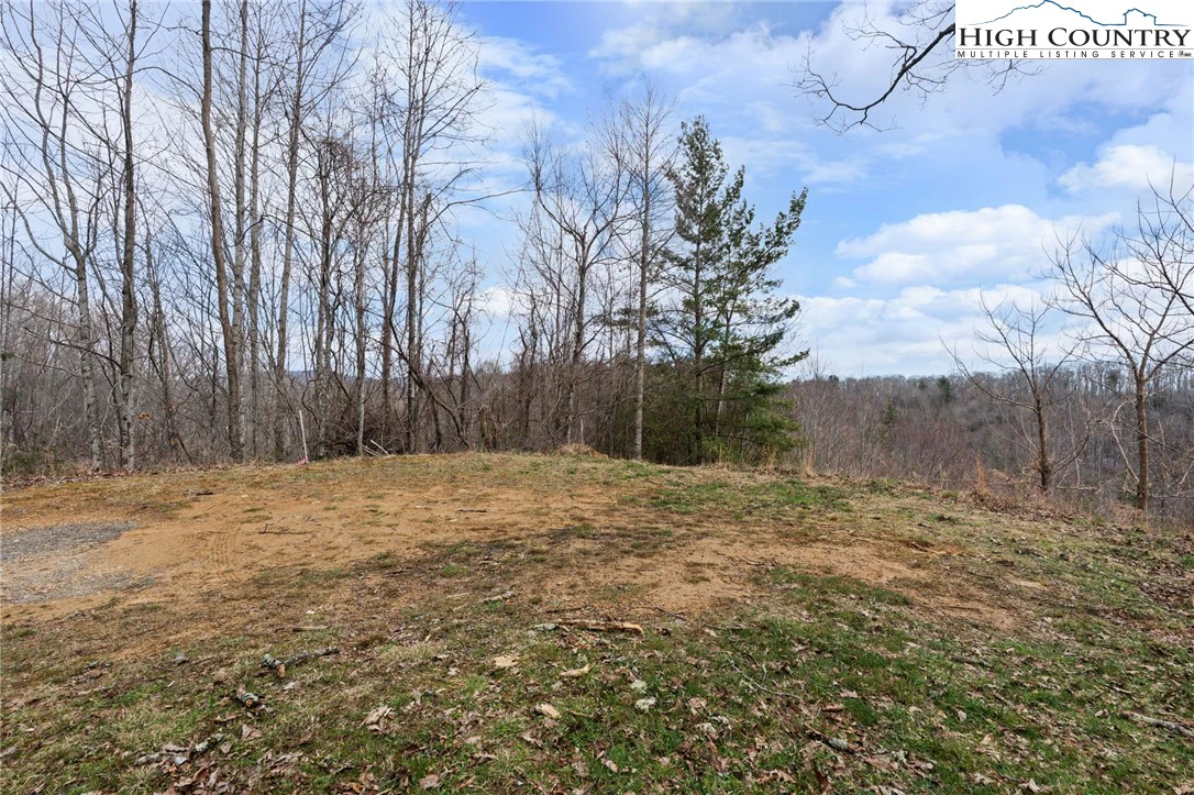 Image number 4 for the current listing