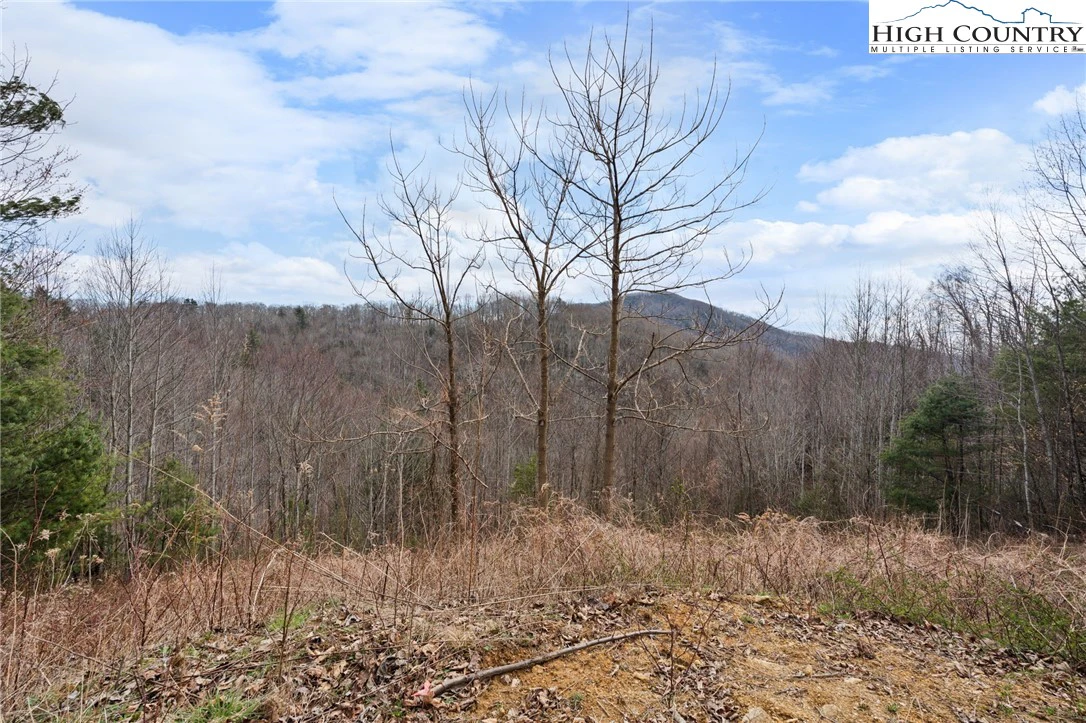 Image number 5 for the current listing