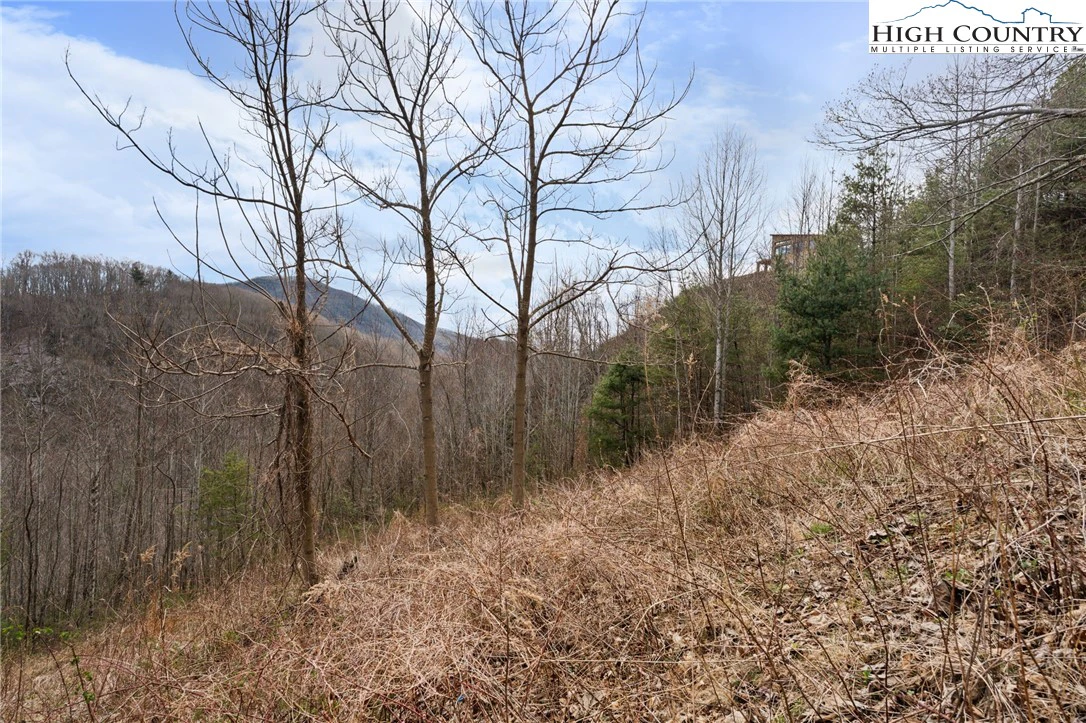 Image number 6 for the current listing
