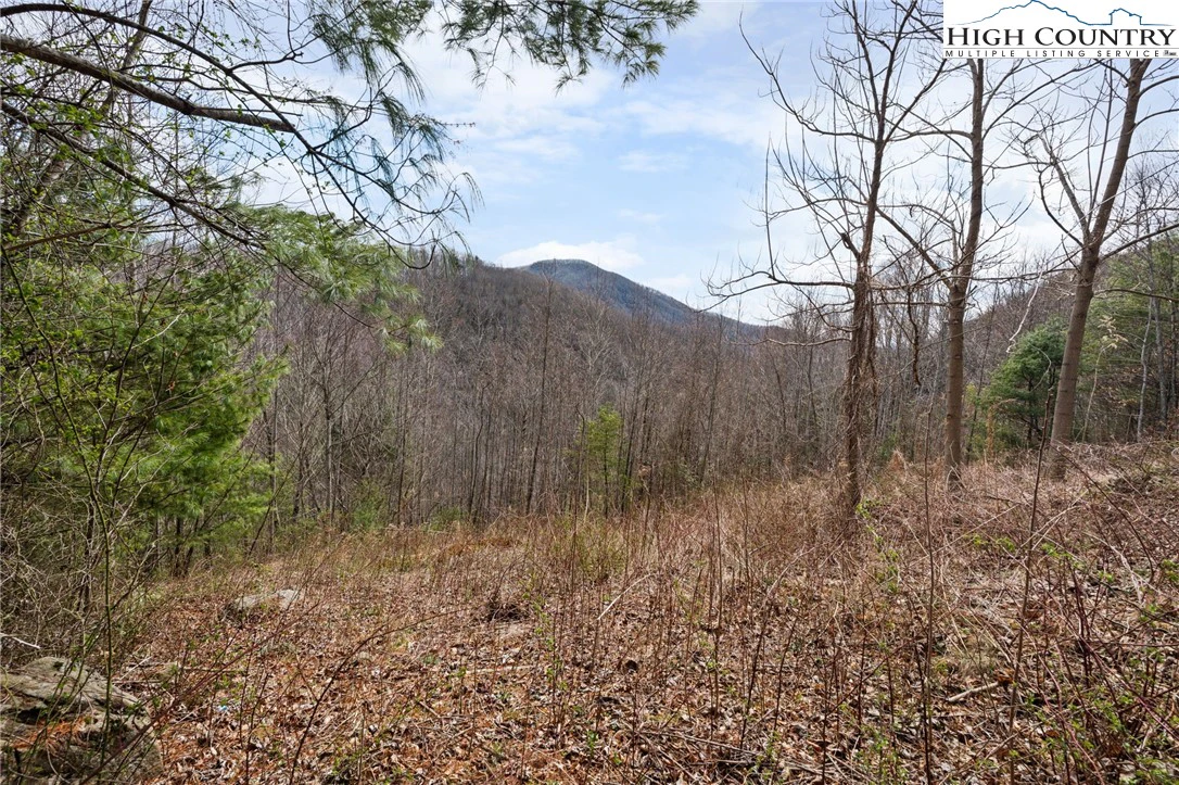 Image number 7 for the current listing