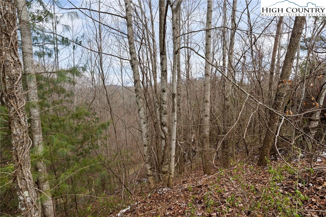 Image number 10 for the current listing