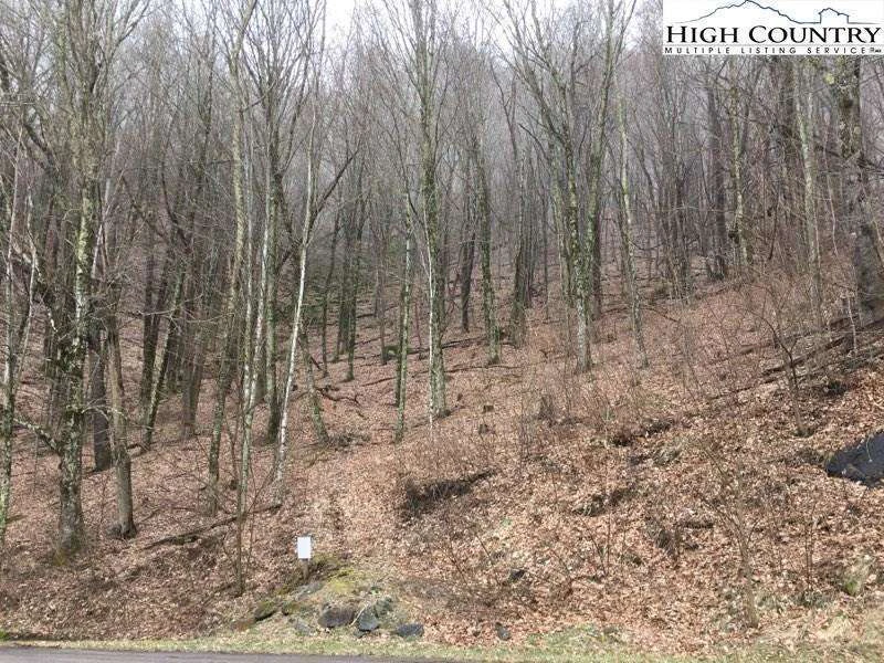 Image number 3 for the current listing