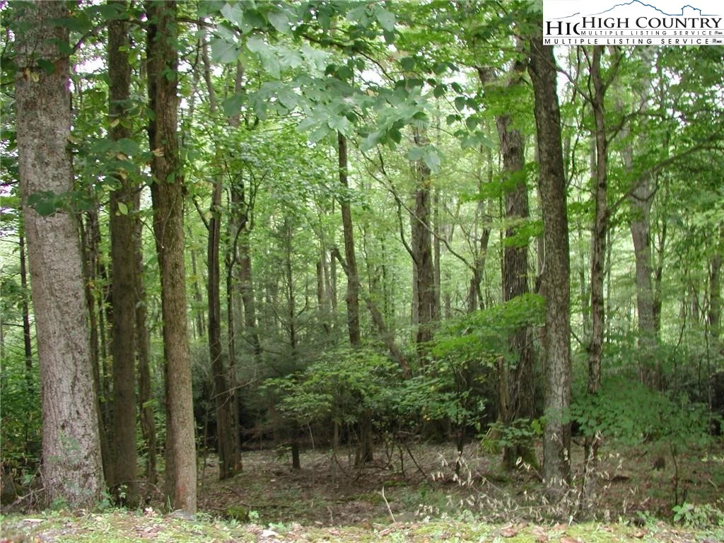 Image number 1 for the current listing