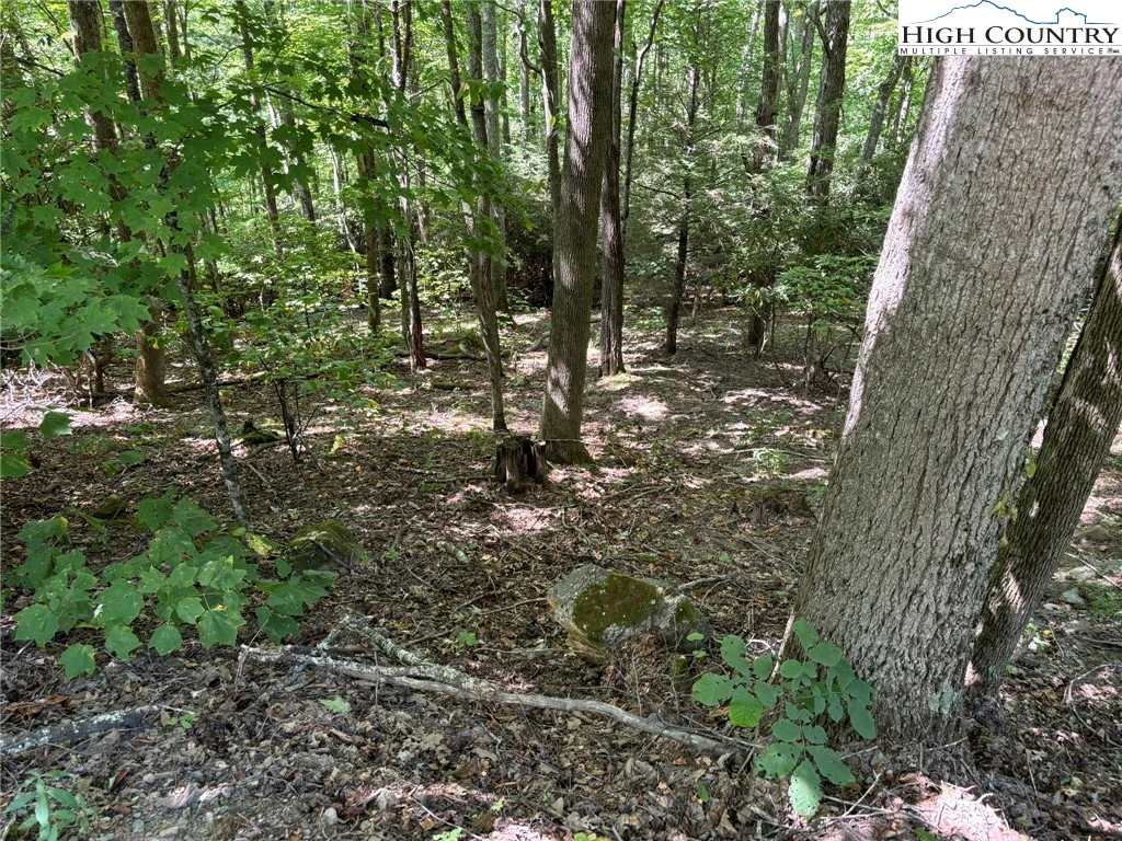 Image number 2 for the current listing