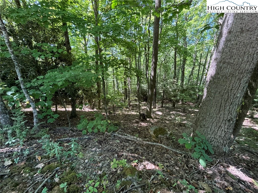 Image number 6 for the current listing