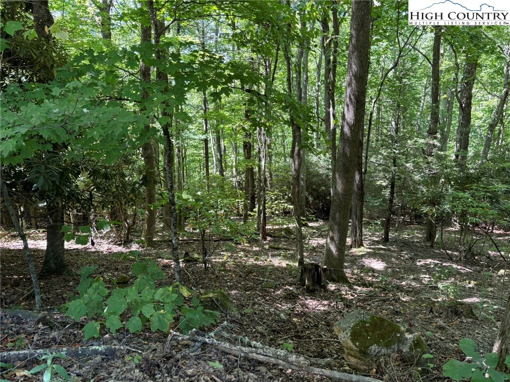 Image number 7 for the current listing