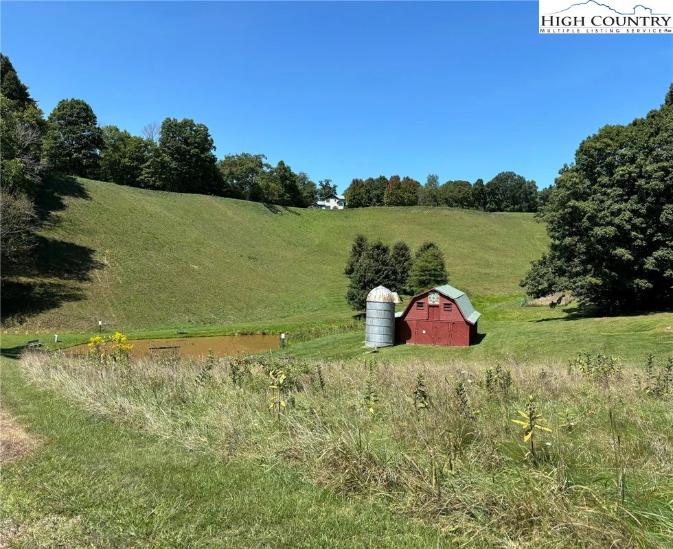 Image number 12 for the current listing