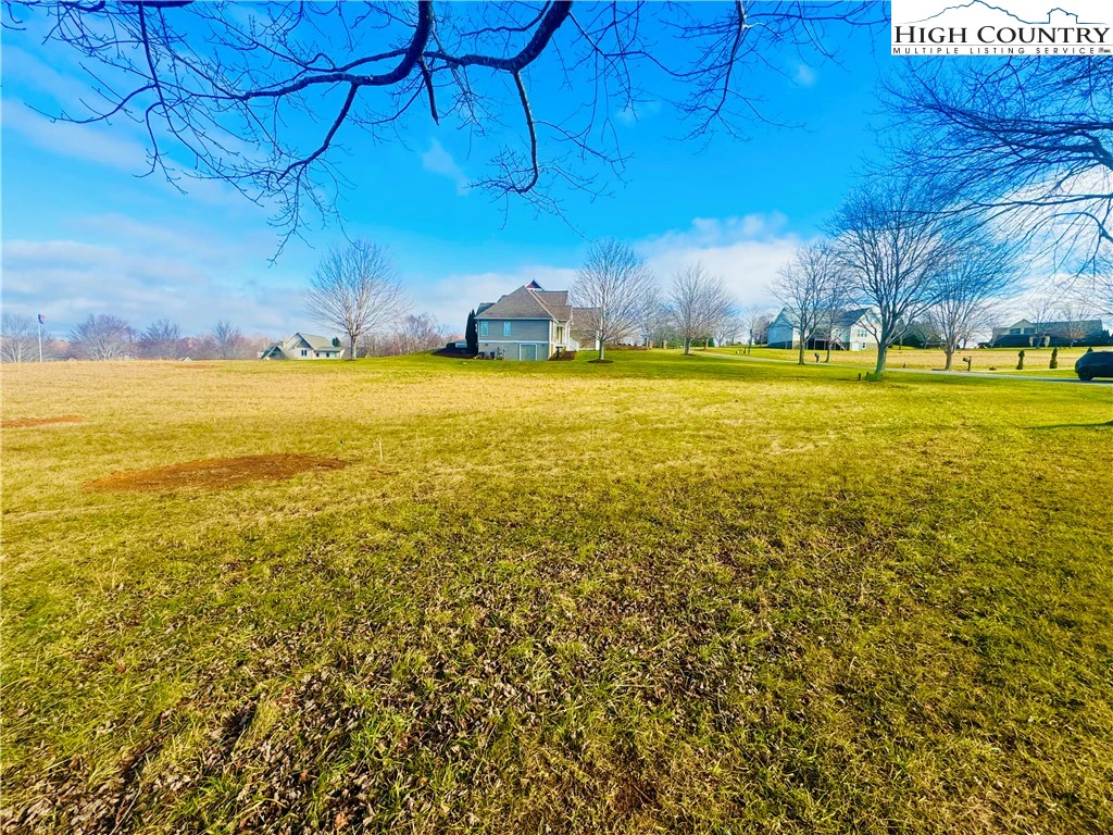 Image number 2 for the current listing