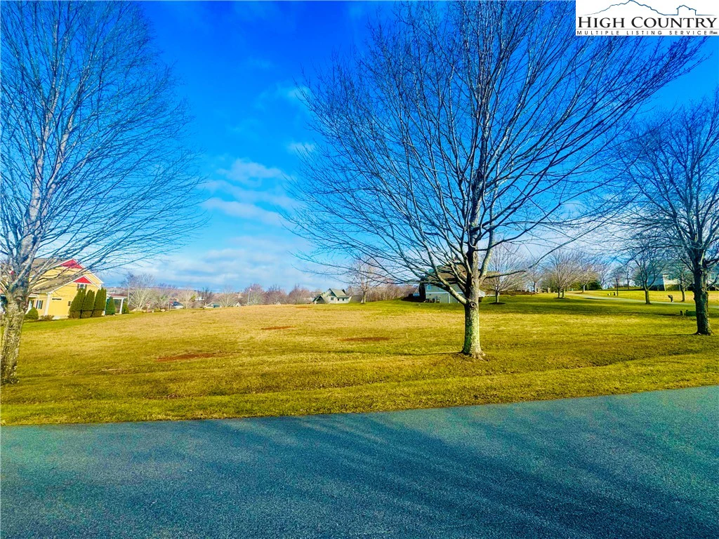 Image number 3 for the current listing