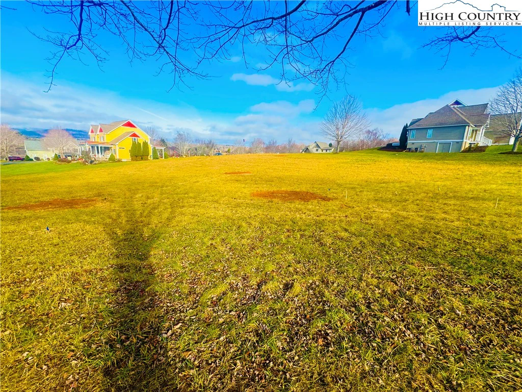 Image number 4 for the current listing