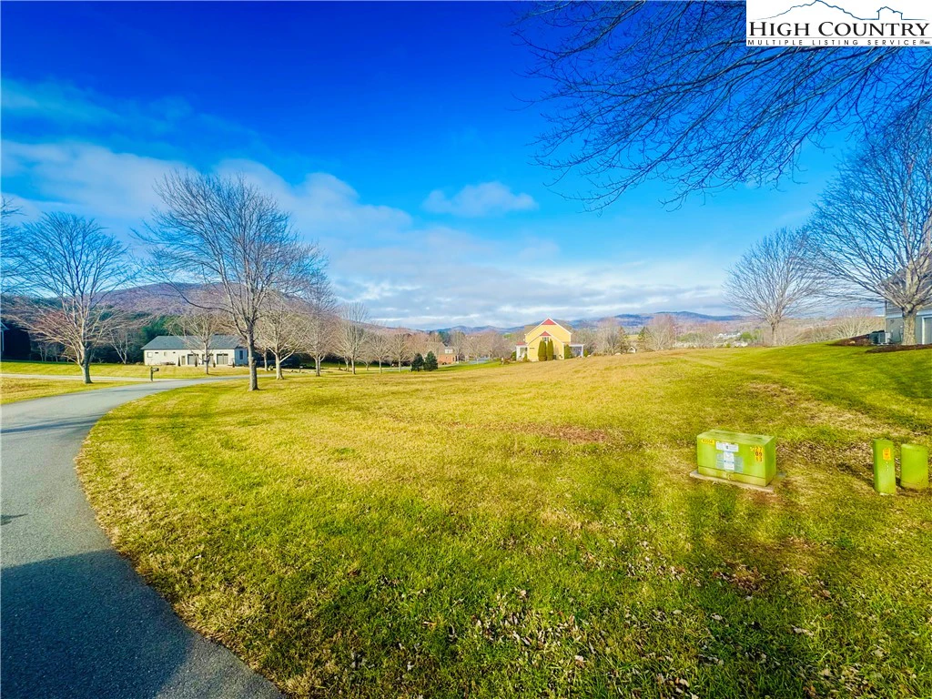 Image number 6 for the current listing