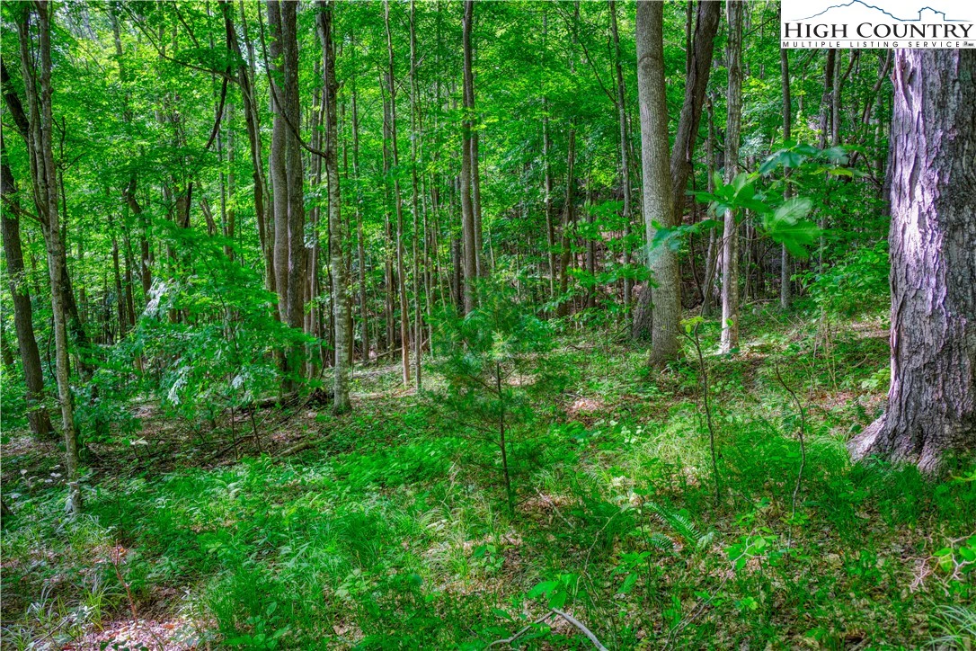 Image number 6 for the current listing