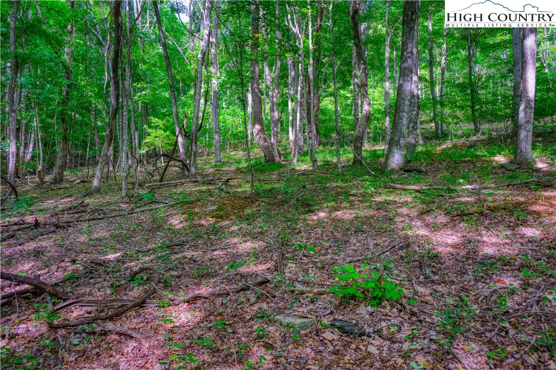 Image number 9 for the current listing