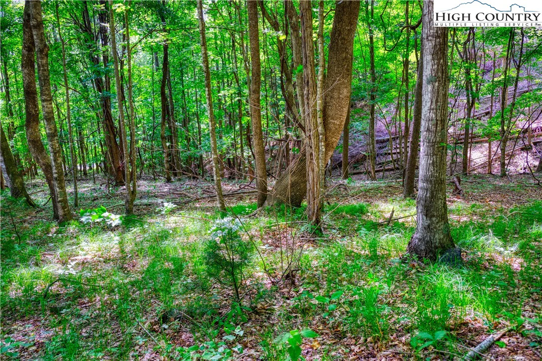 Image number 10 for the current listing
