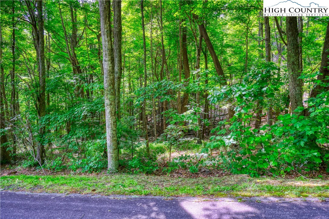 Image number 12 for the current listing