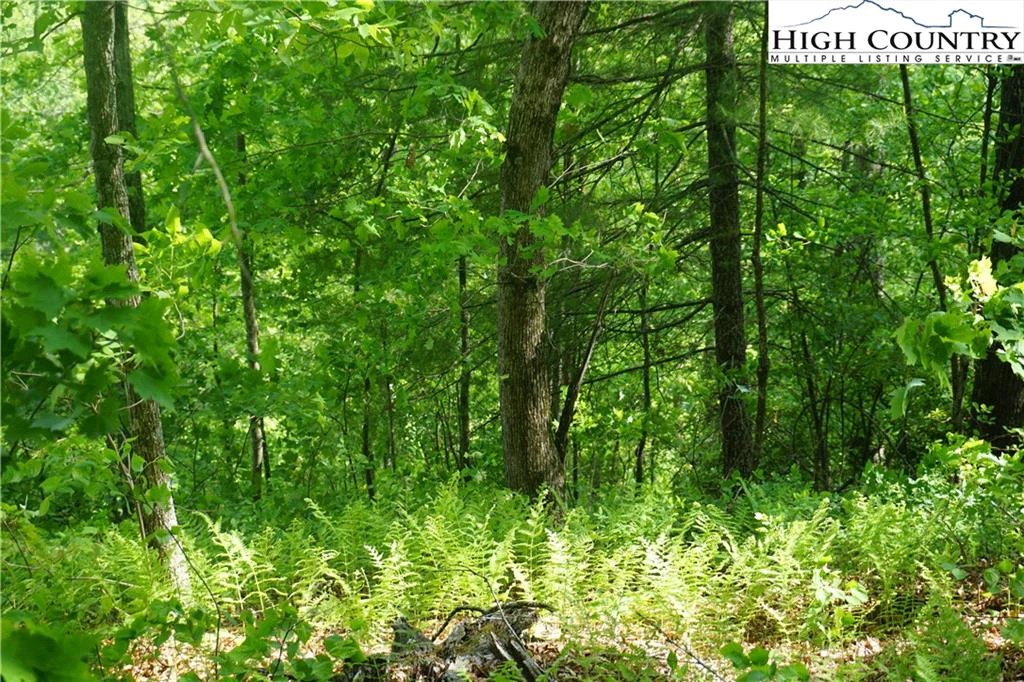 Image number 11 for the current listing