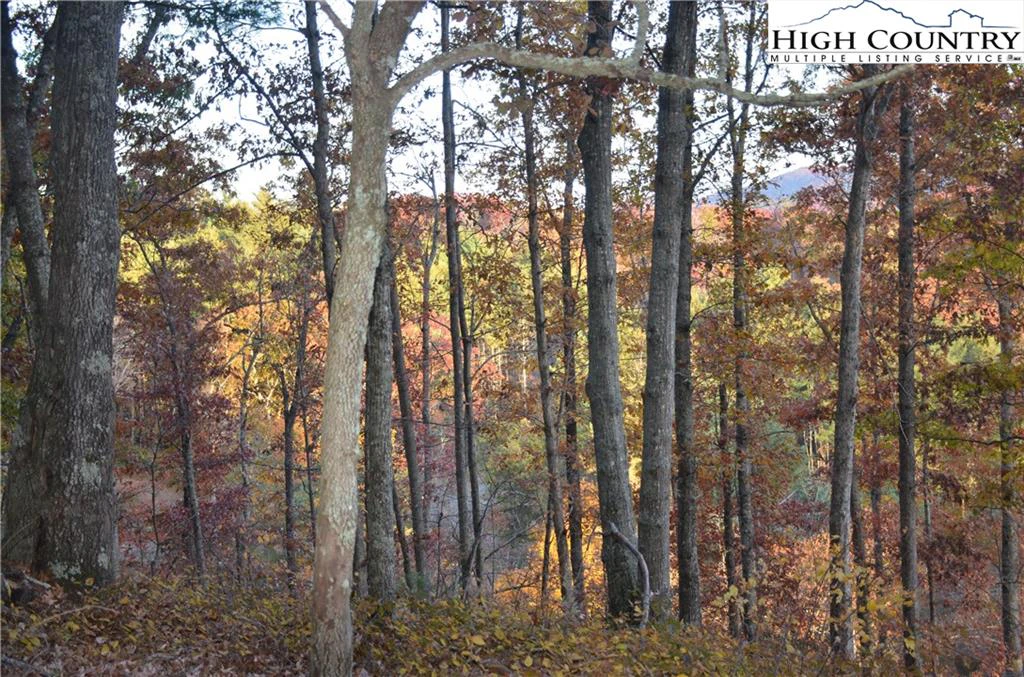 Image number 13 for the current listing