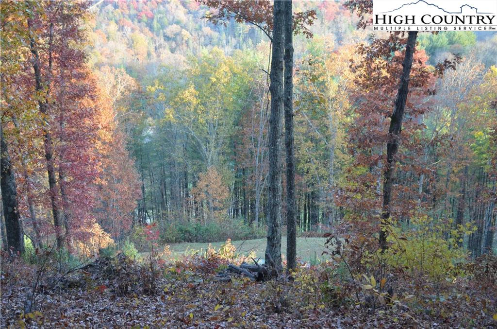 Image number 14 for the current listing
