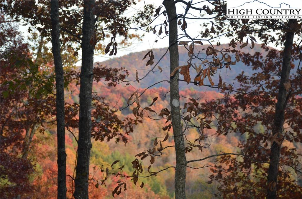 Image number 15 for the current listing