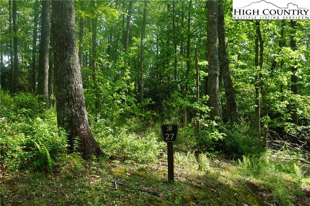 Image number 5 for the current listing
