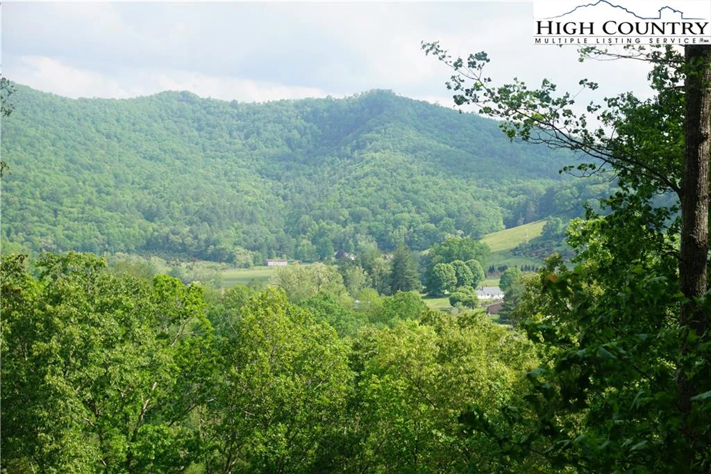 Image number 7 for the current listing