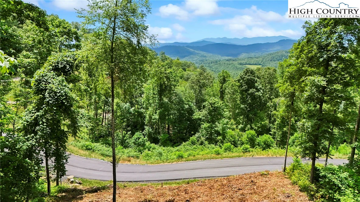 Image number 1 for the current listing