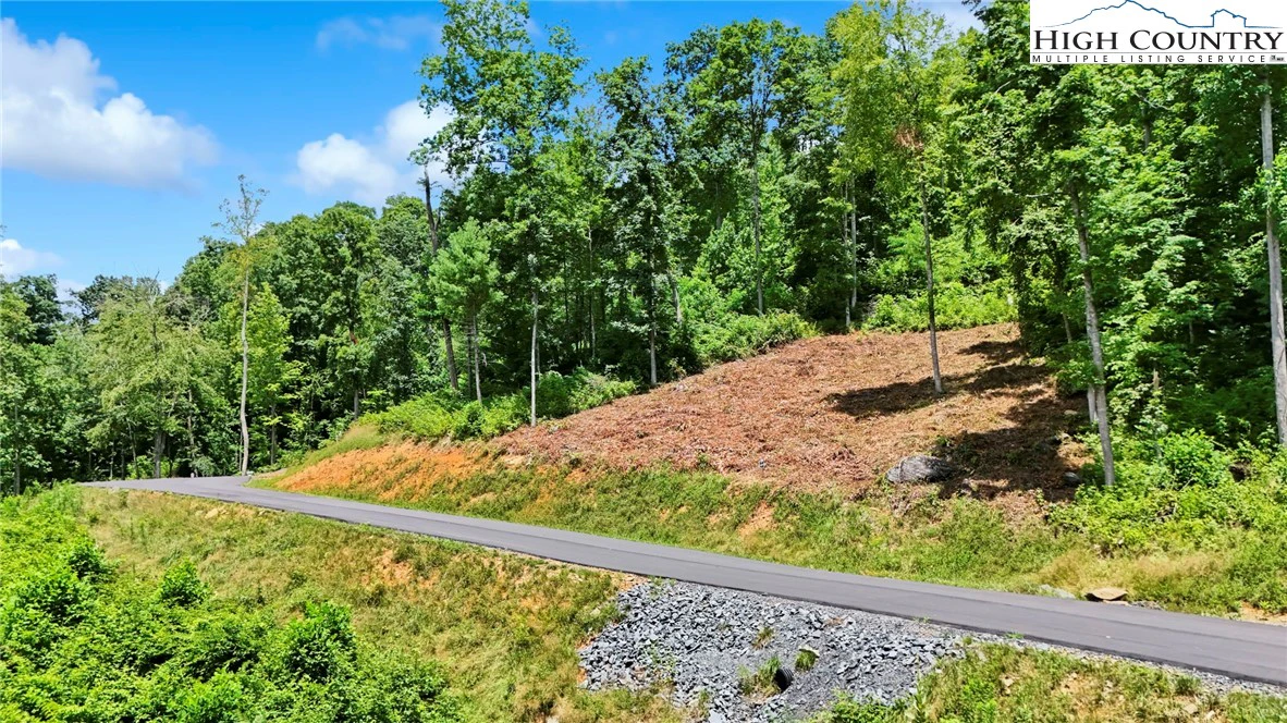 Image number 2 for the current listing