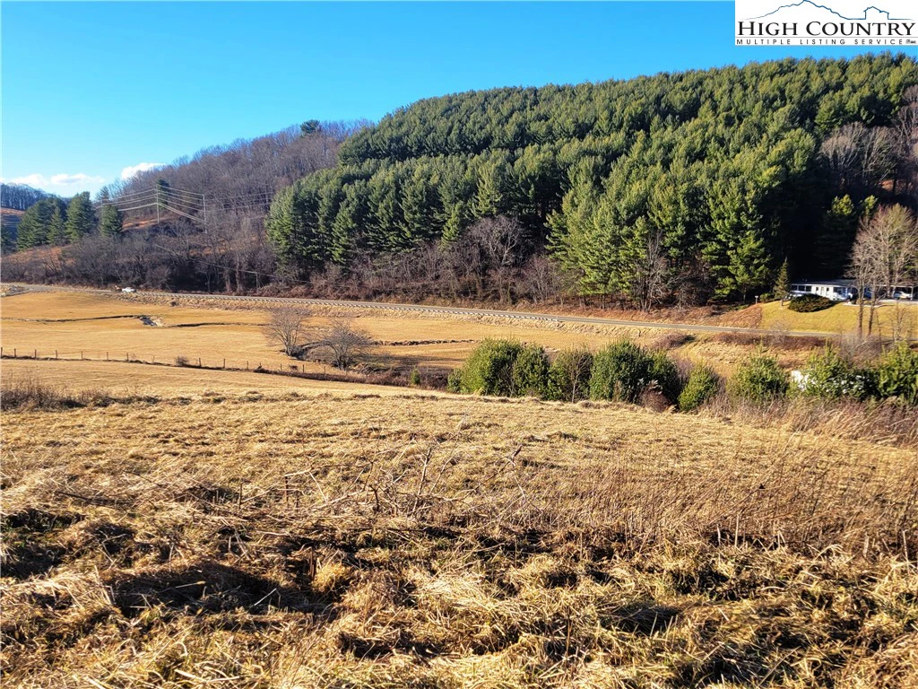 Image number 1 for the current listing