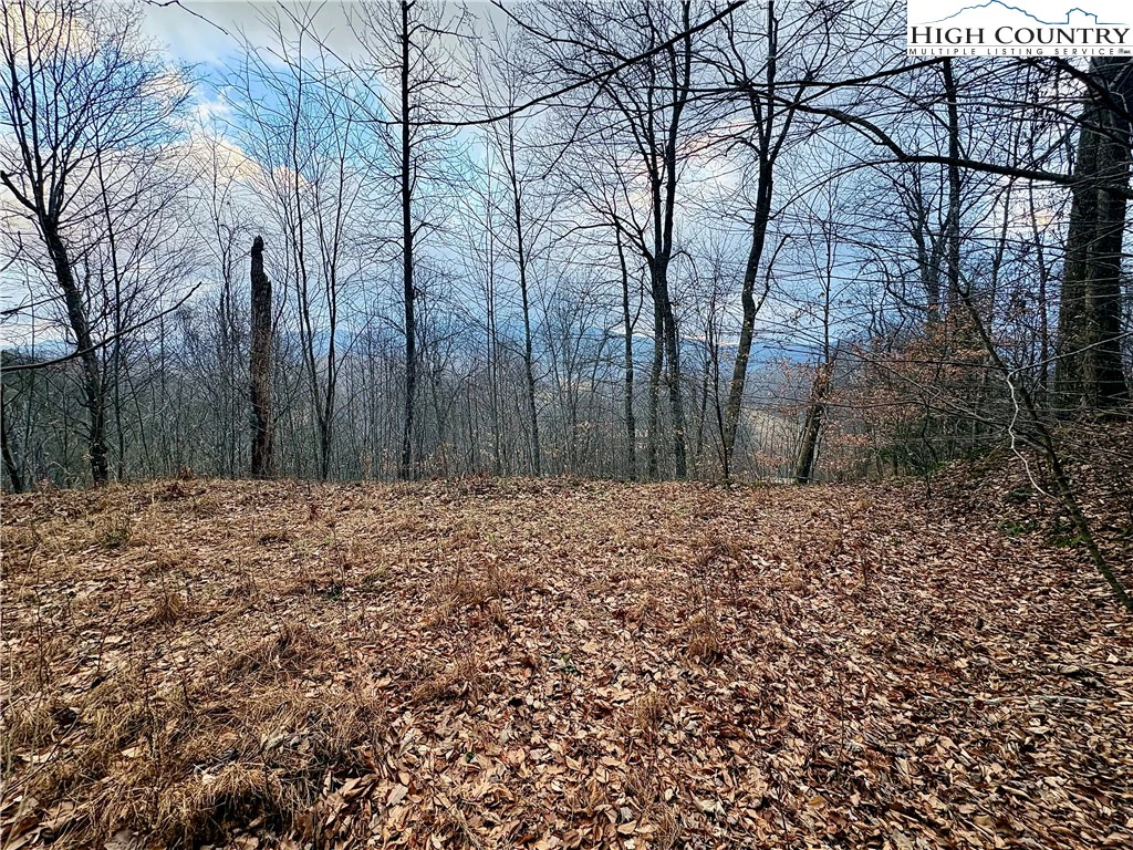 Image number 1 for the current listing