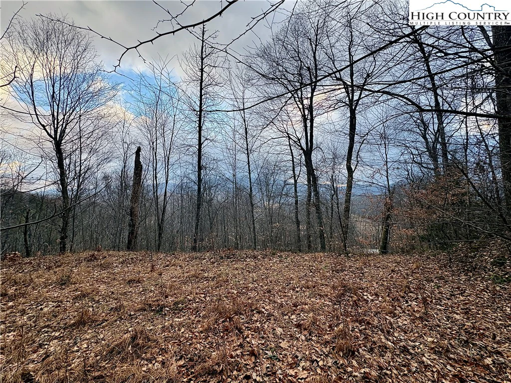 Image number 3 for the current listing