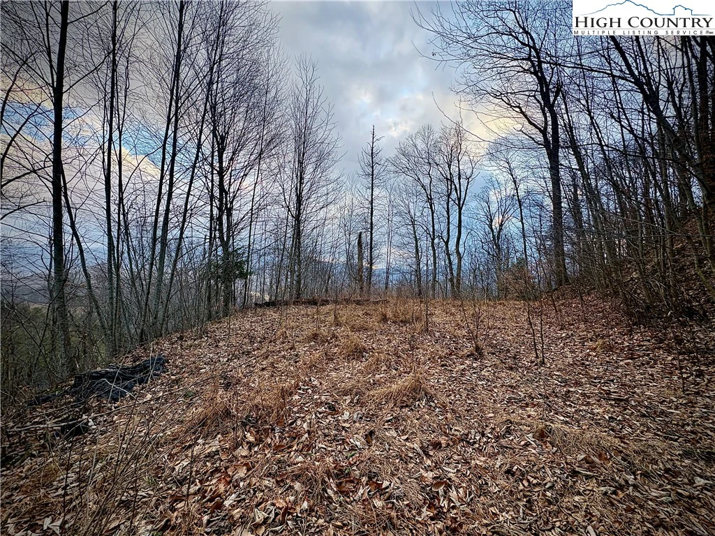 Image number 4 for the current listing