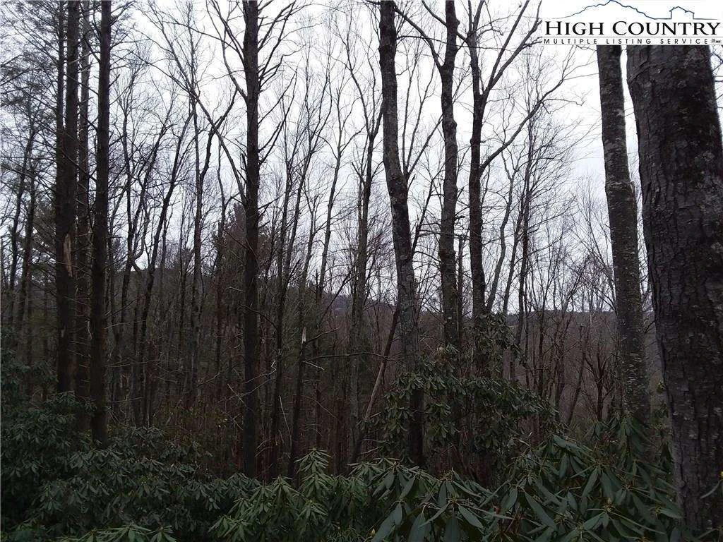 Image number 4 for the current listing