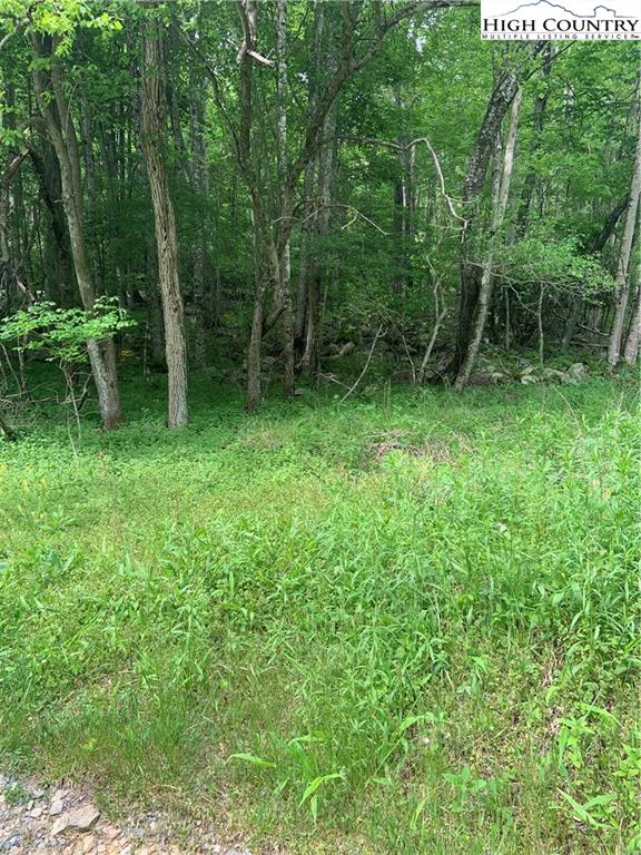 Image number 1 for the current listing