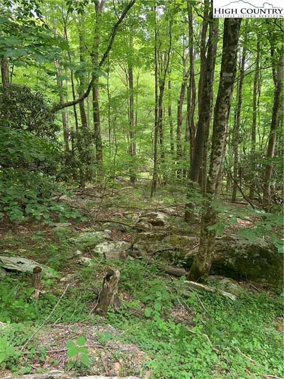 Image number 5 for the current listing
