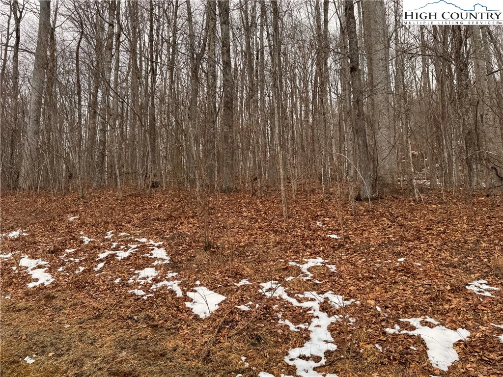 Image number 3 for the current listing
