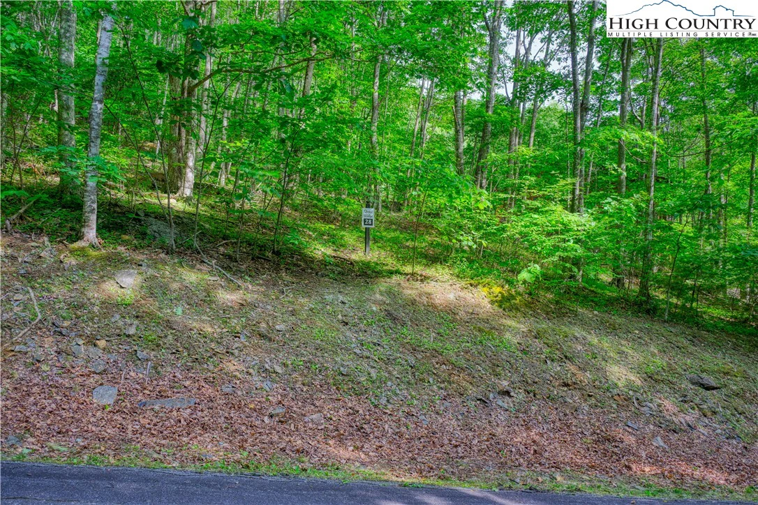 Image number 5 for the current listing