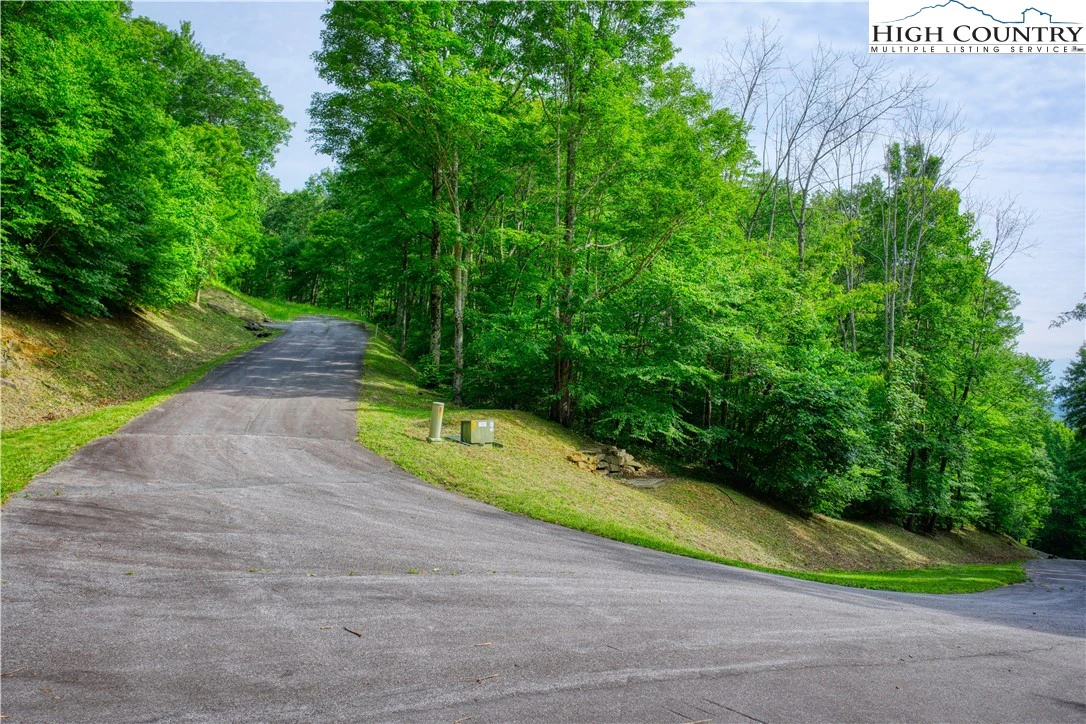 Image number 7 for the current listing