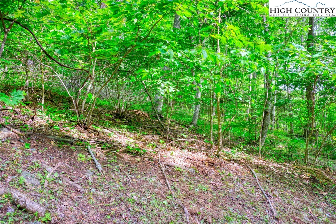 Image number 9 for the current listing