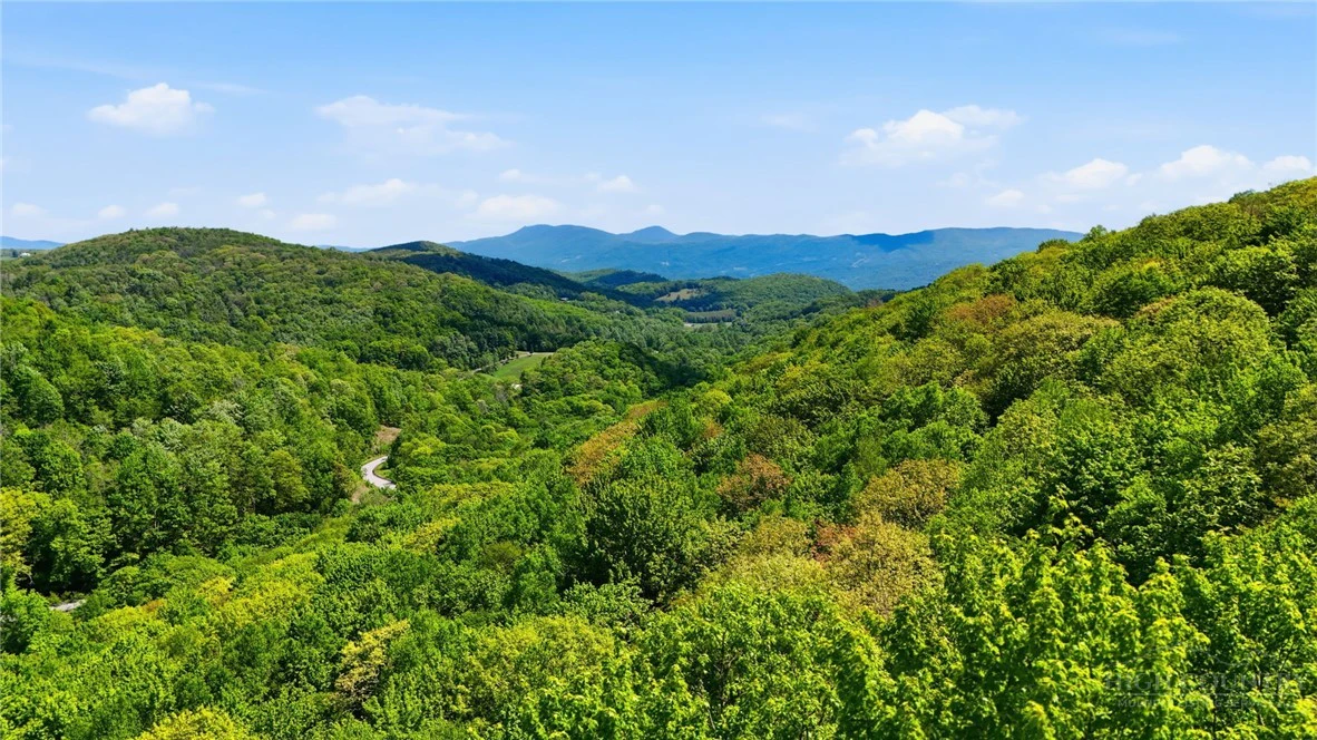 Image number 2 for the current listing