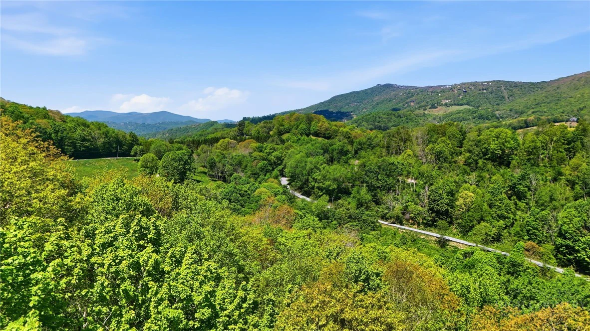 Image number 8 for the current listing