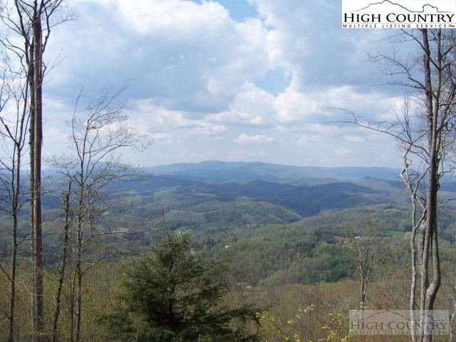 Image number 1 for the current listing