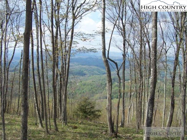 Image number 4 for the current listing