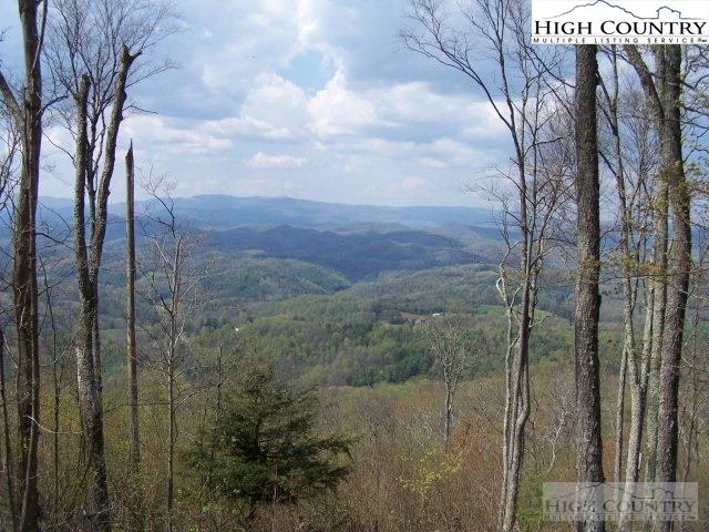 Image number 5 for the current listing